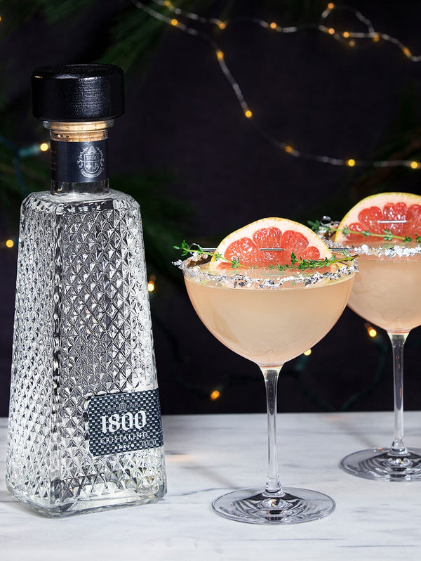 Silver Leaf Paloma