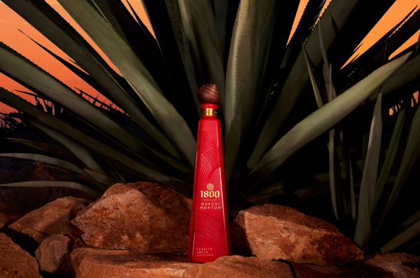 1800 Tequila Debuts New, Rare Tequila That's Aged in a Surprising Way