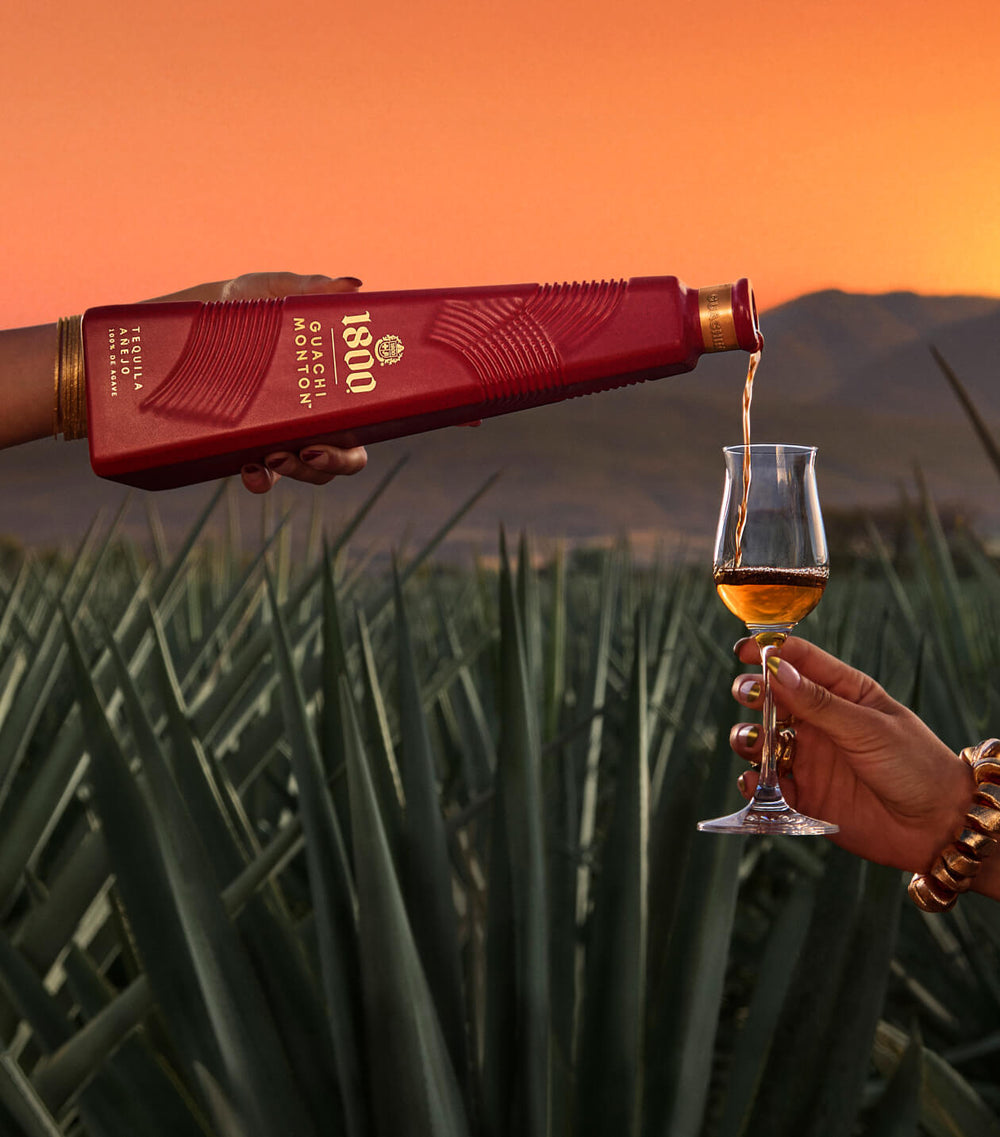 1800® GuachiMonton – 1800® Tequila