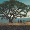 Workers under a tree